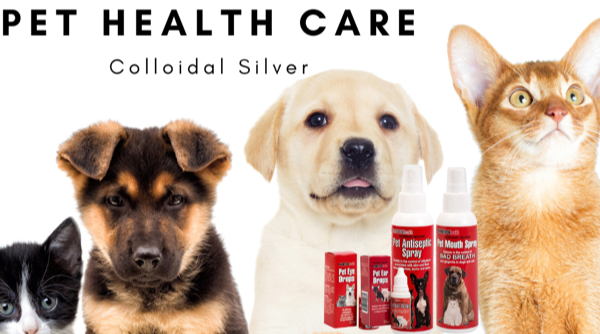 pet health care products by Nanotechhealth