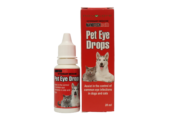 Best eye drops outlet for dogs with infection