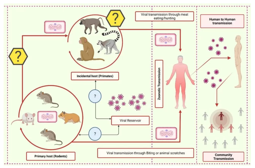 MONKEYPOX INFOGRAPHIC