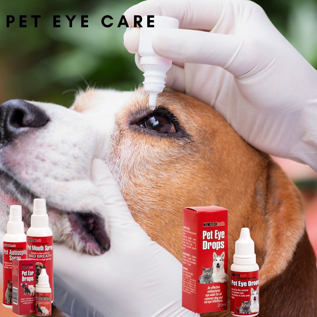 Eye spray for outlet dogs