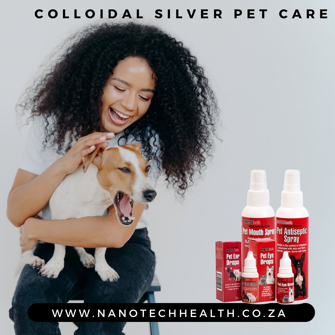 Buy Natural Pet Health Products Online in South Africa 3 Dog having eye drops applied calmly, alcohol-free pet eye drops that do not sting